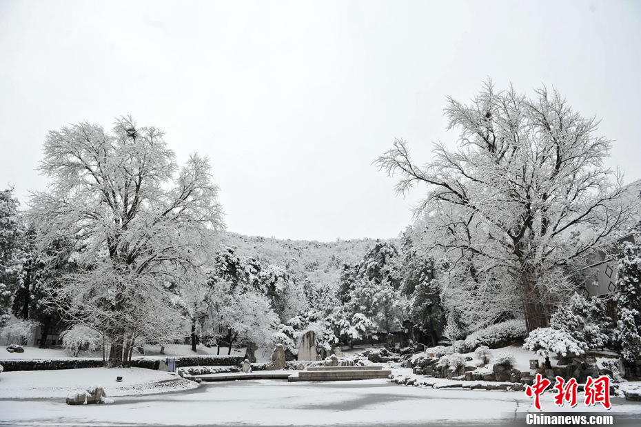 ����ͻӭ��ѩ ���⾰�^�y�b�ع�