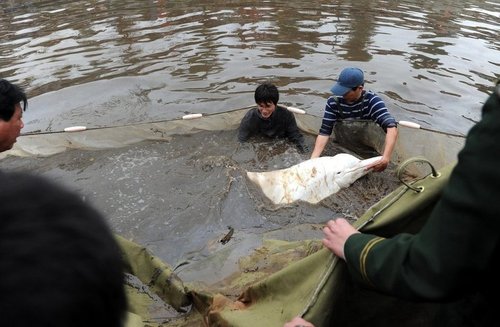 ��ɽ��·���A�׺����Ѳ������꣬���w��r���ݘ��^���Y�ψD��