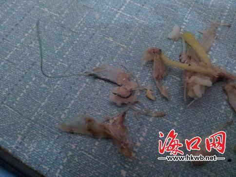 ���ڲ��^�òͳԳ��~�^ �������C��(j��)�ϰ���J(r��n)