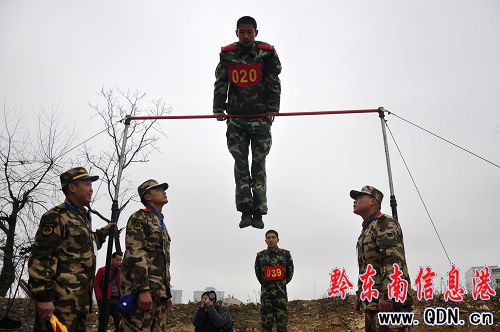 �F��������꠴�������(�|Ƭ�^)�����ڄP���_ِ