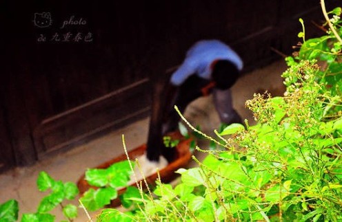 ͽ��ǭ�|�� ������կ���������Դ���M�D��