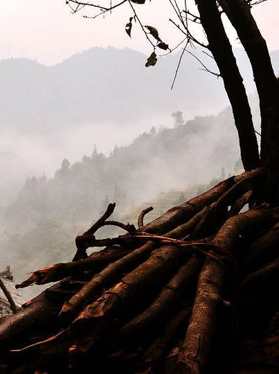 ͽ��ǭ�|�� ������կ���������Դ���M�D��