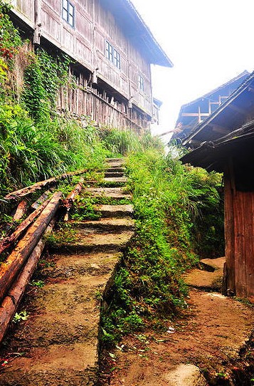 ͽ��ǭ�|�� ������կ���������Դ���M�D��