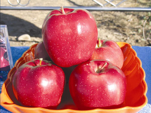 �S�յ������O��