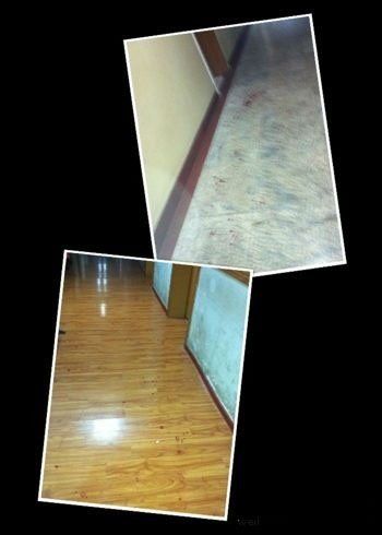 ����һ�������賿���t(y��)Ժ��(n��i)�ֵ�����9��