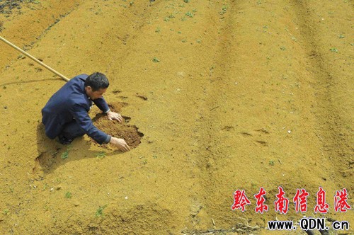 �͜��������P��̫�Ӆ��ܓp���أ��D��