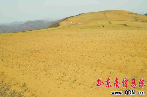 �͜��������P��̫�Ӆ��ܓp���أ��D��