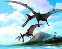 �Ї��|���l(f��)�F(xi��n)�����·N���C�ֹ������Բ��~����