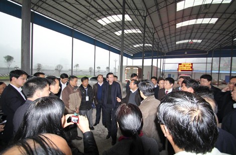 ���L���w�S�����{(di��o)�нM���P�����{(di��o)�У��M�D��