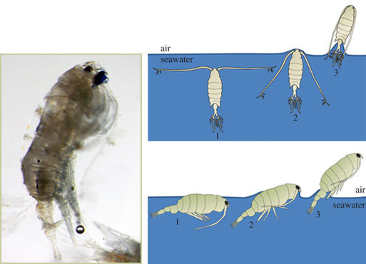 ���ƌW(xu��)�Ұl(f��)�F(xi��n)�����������S���� �߶������L40��