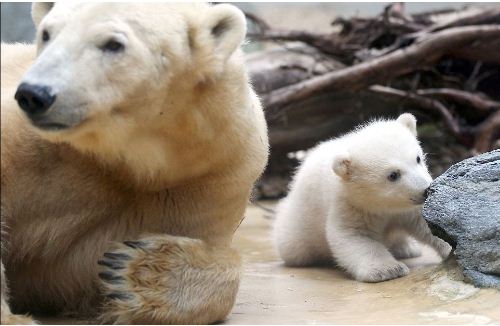 ���Z������һ����ˣ��ĸ�H�t�ڽo�������ڡ�