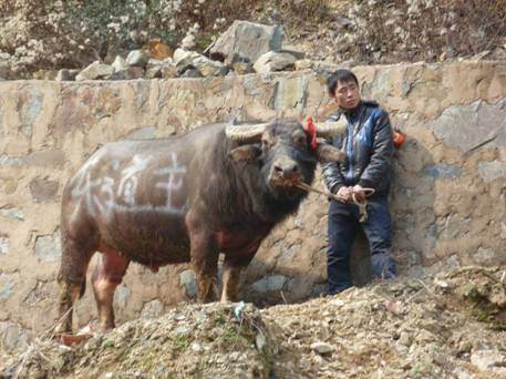 �������Ҵ������ӛ���t����ȥǭ�|�Ͽ���ţ