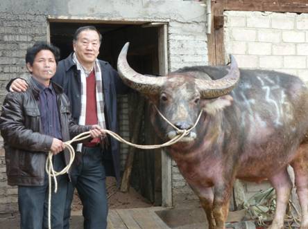 �������Ҵ������ӛ���t����ȥǭ�|�Ͽ���ţ