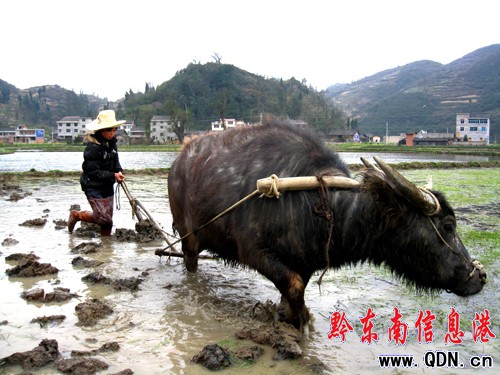 �얿h�r��ץ��r���[���������M�D��