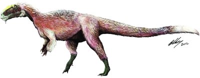 �҇��l(f��)�F(xi��n)�����w�����Ď���ë������ʯ