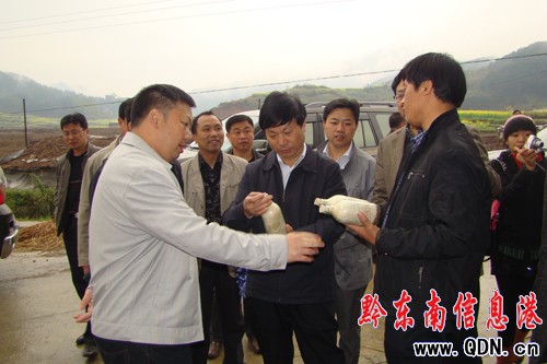 ǭ�|����ί����ӛ���A�������\���{�У��D��