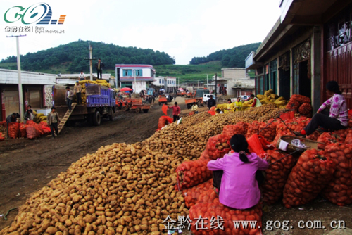 �����K�����C���� �a�Iƴ�D��ī�زʣ��D��