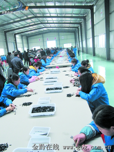 ���I(y��)��(qi��ng)ʡ �F���~��ƌW(xu��)�l(f��)չ��܇�����D��