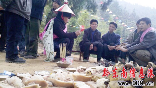 ʮ����һ�� ���ӿh��Ӣ�������Ո�����o��