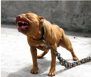 �����l(f��)���Bҧ4�� ����Ŷ�Ȯ�C��