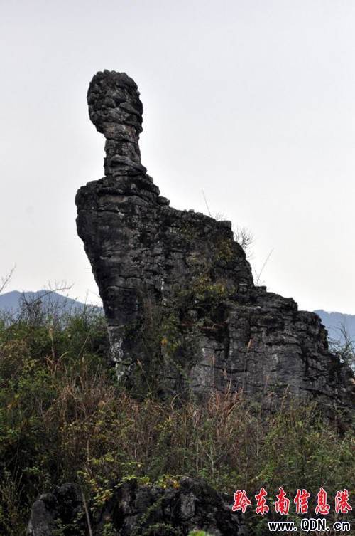 �Sƽ�������l�F��ǧ�����ͪ���ʯ�֣��M�D��