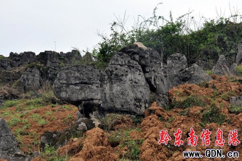 �Sƽ�������l�F��ǧ�����ͪ���ʯ�֣��M�D��