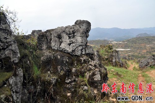 �Sƽ�������l�F��ǧ�����ͪ���ʯ�֣��M�D��