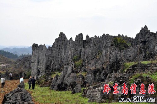 �Sƽ�������l�F��ǧ�����ͪ���ʯ�֣��M�D��