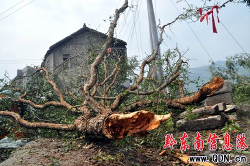 �_����Ҋ����25���܂� �ί��M(f��i)���������I�Ρ�