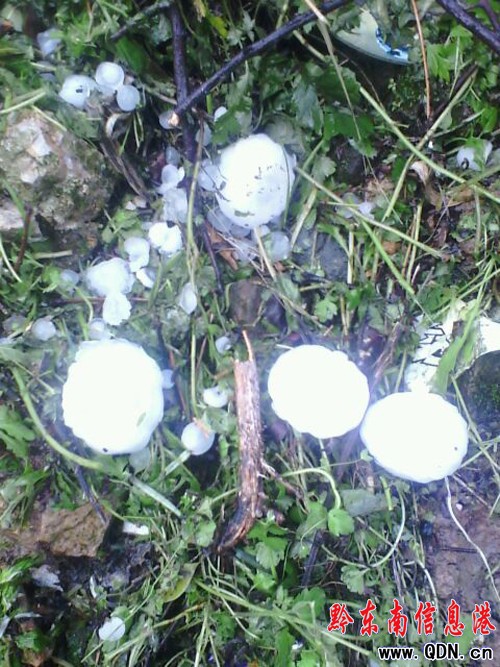 �����ٽ����� ���L���B�m���ա����u��(�D)