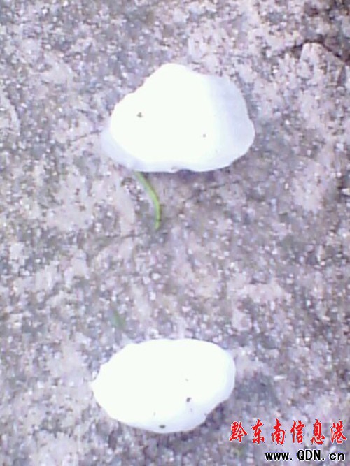 �����ٽ����� ���L���B�m���ա����u��(�D)