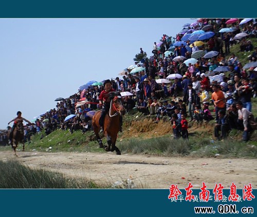 �Sƽ�h�S�h�l�����J�ϕ�����ʢ���_Ļ���D��