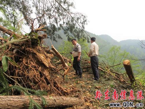 �����L�y��������u����ƽ���կ��1С�r