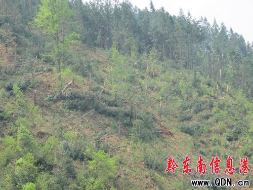 �����L�y��������u����ƽ���կ��1С�r