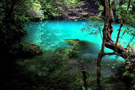 �؜�̩̹��˽�(j��ng)�� ���fǧ����(zh��n)�(zh��n)�h(yu��n)���D��