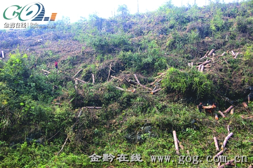 ��ɽ����^ ��������� �P���������������ȫ������