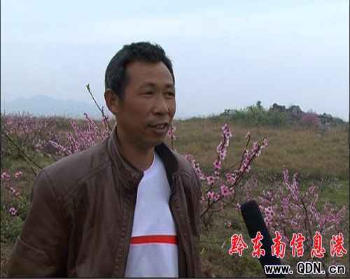 �����h�h�̽������h�T��Ⱥ���¸���