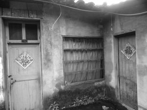 �B(y��ng)��ĸ�ļ� ����zӰ ��ѩ��