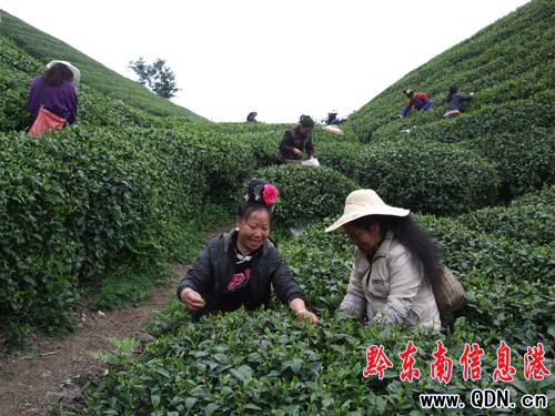 ��ɽ���rͶ���@ȫ�����ռ����Բ���(�D)