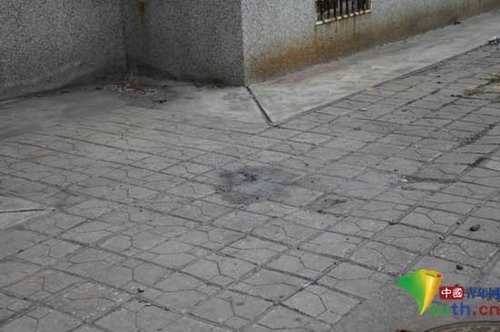 ɽ�|14�q��һ��Ů��Ը�����^�l��������(�D)