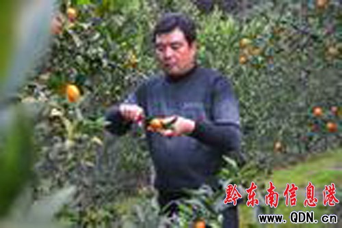 �ഺ��ʢ���ڴ�ɽ�� ׷ӛ��ѳ�Ą�����