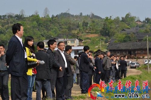 �P��M���ɲ��� ���o�����߲ˡ����؅��^����