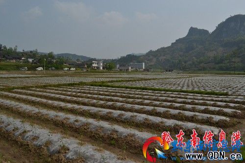 �P��M���ɲ��� ���o�����߲ˡ����؅��^����