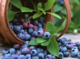 �׌��{ݮ�������齭�e�k