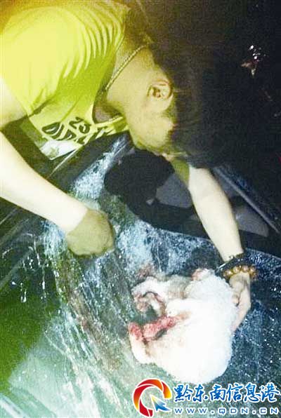 �����˸ߘǒ���С����������܇�v���̾�