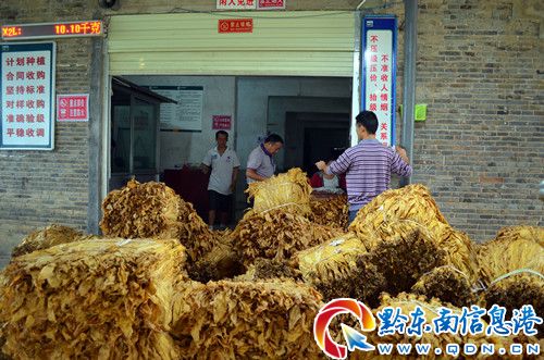 ��3�f�஀���S���~�����㟟�r�X����