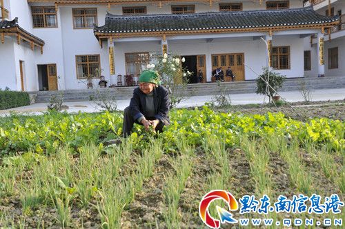 ��ɽ�¹����˼��й��B(y��ng)��(sh��)�F(xi��n)�������B(y��ng)(�D)