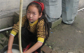 ������ĺ���