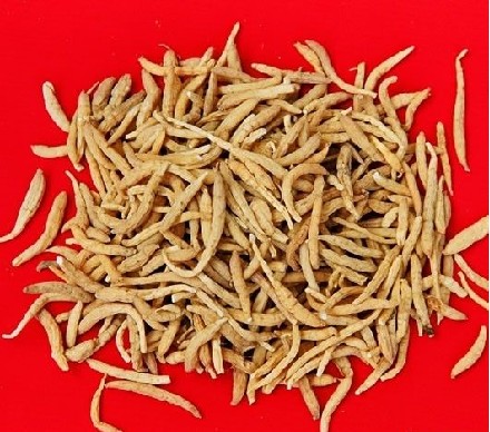 �Sƽ�h���f�{��̫�Ӆ��N��ù��Ͷ