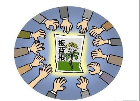 ������Σ����P���T���䮔���ƌW�������Ľ�ɫ